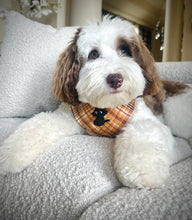 Load image into Gallery viewer, salted caramel flannel dog bandana