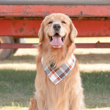 Load image into Gallery viewer, hollows eve flannel dog bandana