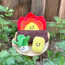 Load image into Gallery viewer, campfire nosework dog toy