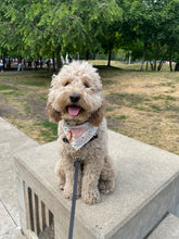 Load image into Gallery viewer, may flowers dog bandana