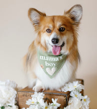 Load image into Gallery viewer, mama's boy green gauze dog bandana