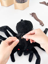 Load image into Gallery viewer, spencer the spider nosework toy