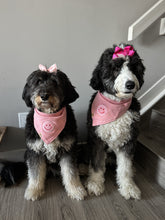 Load image into Gallery viewer, strawberry shortcake plaid dog bandana