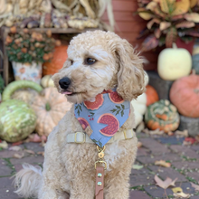 Load image into Gallery viewer, cranberry pie dog bandana