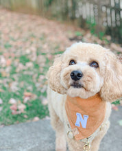 Load image into Gallery viewer, ginger herringbone letterman dog bandana
