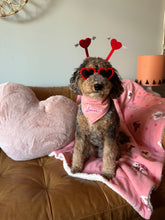 Load image into Gallery viewer, strawberry shortcake plaid with lover patch dog bandana