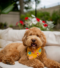 Load image into Gallery viewer, beach babe dog bandana