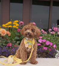 Load image into Gallery viewer, beach babe dog bandana