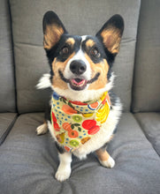 Load image into Gallery viewer, barker's market dog bandana