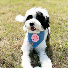 Load image into Gallery viewer, heart eyes on light denim dog bandana