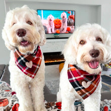 Load image into Gallery viewer, cinnamon spice flannel letterman dog bandana