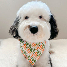 Load image into Gallery viewer, keep calm and carrot on dog bandana