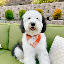 Load image into Gallery viewer, chai latte flannel letterman dog bandana