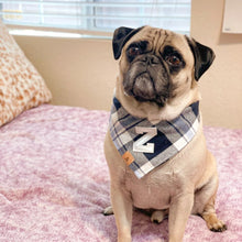 Load image into Gallery viewer, skyline flannel letterman dog bandana