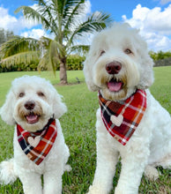 Load image into Gallery viewer, cinnamon spice flannel dog bandana