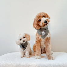 Load image into Gallery viewer, mummy man flannel dog bandana