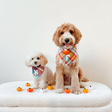 Load image into Gallery viewer, cinnamon toast letterman dog bandana