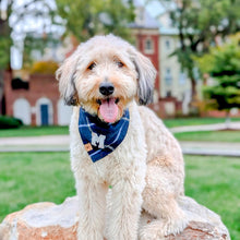 Load image into Gallery viewer, cobalt flannel letterman dog bandana