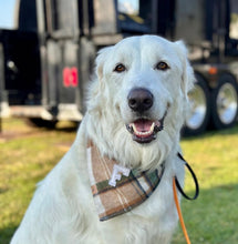 Load image into Gallery viewer, caramel apple flannel letterman dog bandana