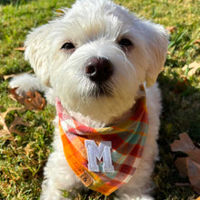 Load image into Gallery viewer, cinnamon toast letterman dog bandana