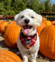 Load image into Gallery viewer, cinnamon spice flannel letterman dog bandana