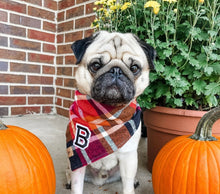 Load image into Gallery viewer, cinnamon spice flannel letterman dog bandana