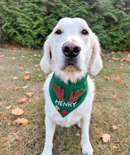 Load image into Gallery viewer, pine green personalized reindeer dog bandana