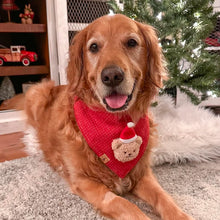 Load image into Gallery viewer, snowberry red tweed dog bandana