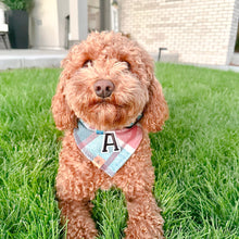 Load image into Gallery viewer, sugar plum flannel letterman dog bandana