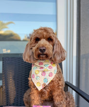 Load image into Gallery viewer, paws and sprinkles dog bandana
