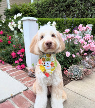 Load image into Gallery viewer, barker's market dog bandana