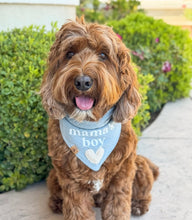 Load image into Gallery viewer, mama's boy blue gauze dog bandana