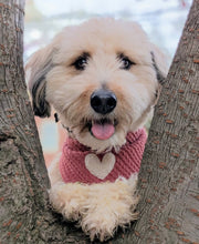 Load image into Gallery viewer, puppy love dog bandana