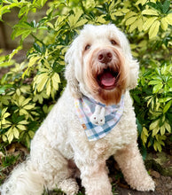 Load image into Gallery viewer, blueberry yogurt with bunny plaid dog bandana