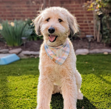 Load image into Gallery viewer, blueberry yogurt plaid dog bandana