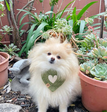 Load image into Gallery viewer, LAST CHANCE! the royce dog bandana