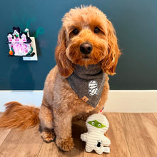 Load image into Gallery viewer, mummy man flannel dog bandana
