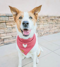Load image into Gallery viewer, puppy love dog bandana