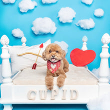Load image into Gallery viewer, everlasting love dog bandana