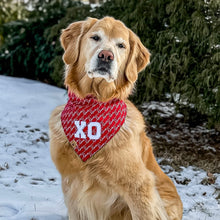 Load image into Gallery viewer, everlasting love dog bandana