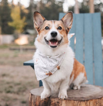 Load image into Gallery viewer, more s'mores dog bandana