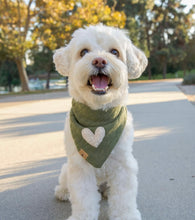 Load image into Gallery viewer, LAST CHANCE! the royce dog bandana