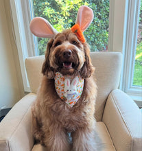 Load image into Gallery viewer, carrots 'n cuddles dog bandana