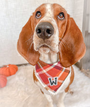 Load image into Gallery viewer, cinnamon spice flannel letterman dog bandana