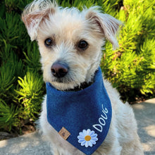 Load image into Gallery viewer, personalized jovie dog bandana