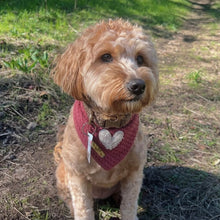 Load image into Gallery viewer, puppy love dog bandana