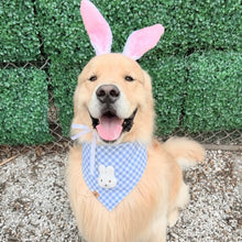 Load image into Gallery viewer, blueberry gingham letterman dog bandana