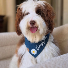 Load image into Gallery viewer, personalized jovie dog bandana