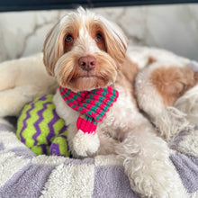 Load image into Gallery viewer, green and red knitted dog scarf