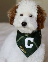Load image into Gallery viewer, celtic plaid letterman dog bandana